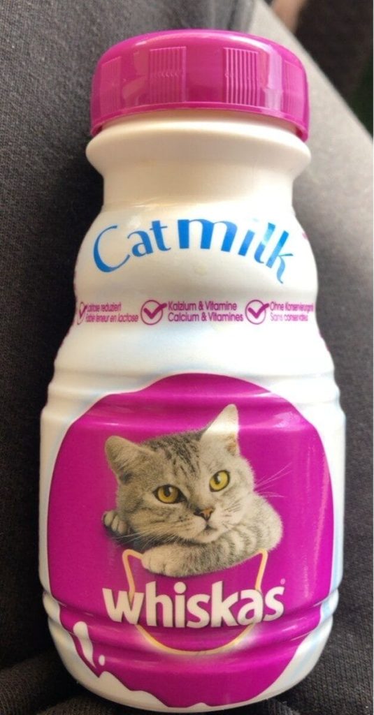 cat milk