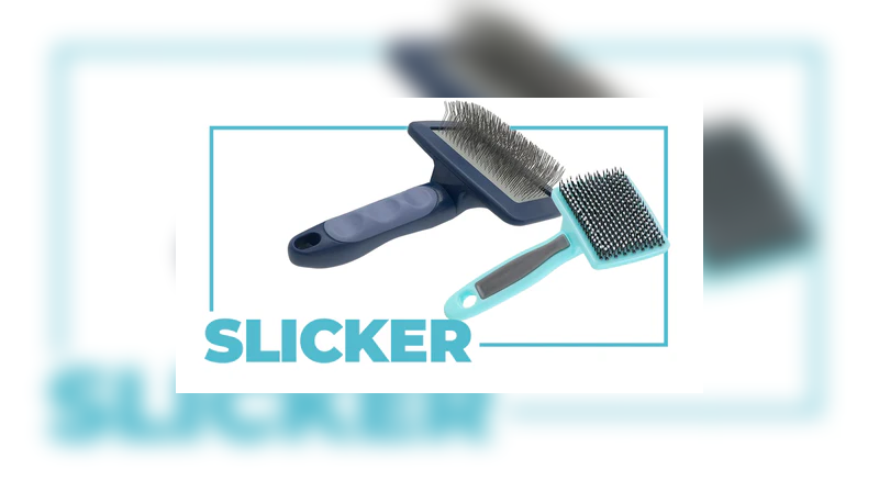 choosing the right brush for cat fur