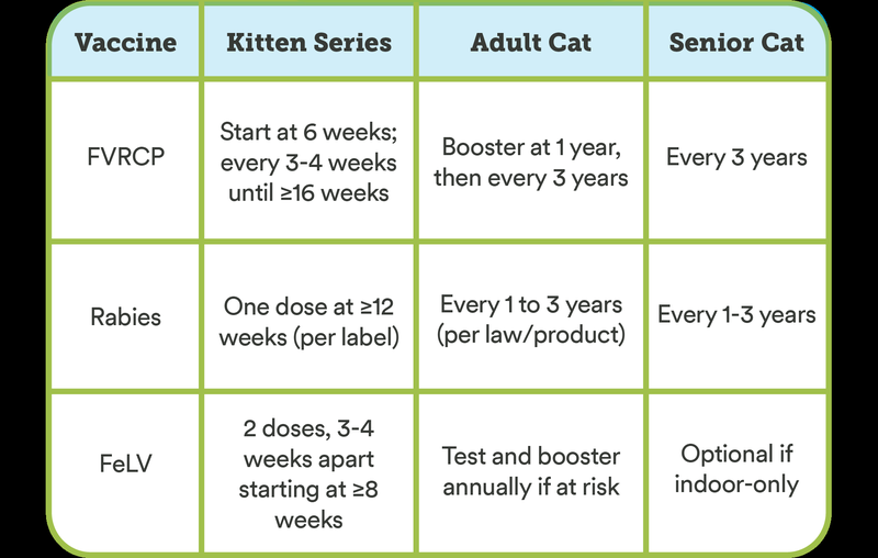 Cat Vaccines Schedule 